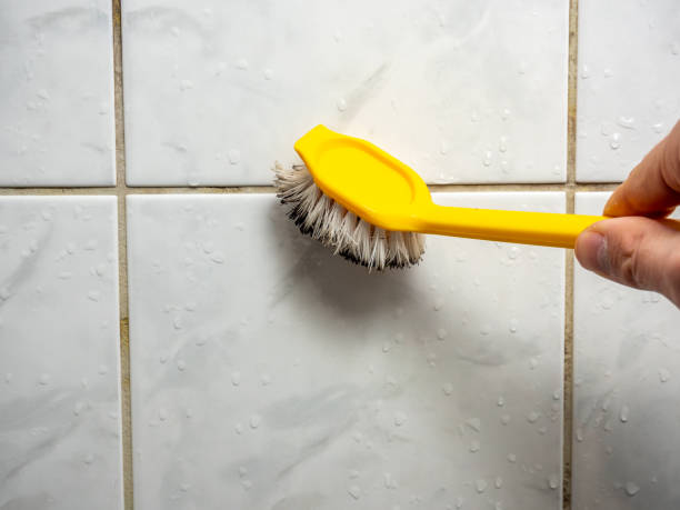 Best Health and Safety Mold Remediation in Mcminnville, OR